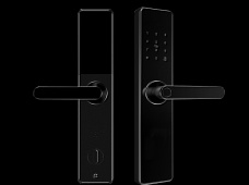 青松沃德-Wi-Fi 指紋鎖家用防盜門智能門鎖密碼鎖刷卡電子鎖 防磁干擾 防撬 L9-WT (不含鎖體，鎖體需另購）